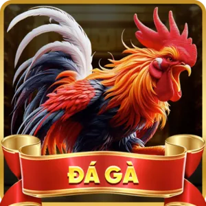 Cá cược thể thao G666